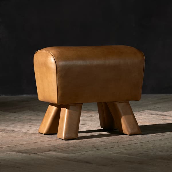 gym horse bench side angle product image