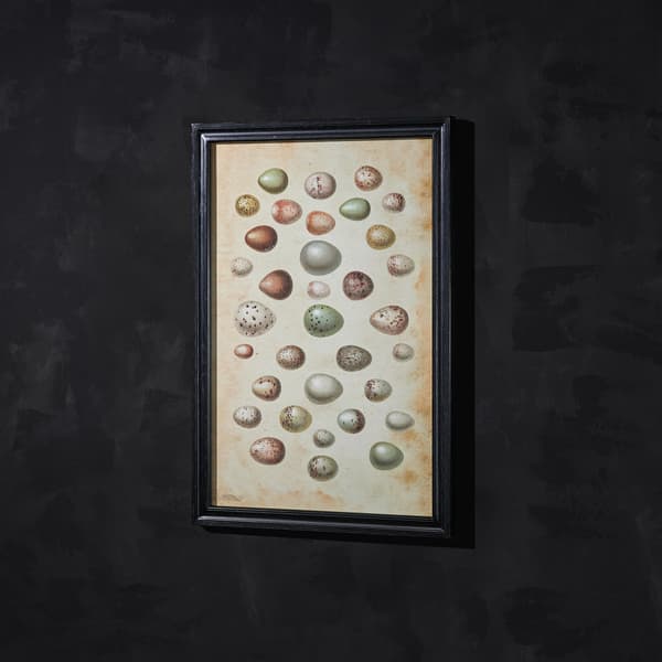 animal eggs wallart detail 3