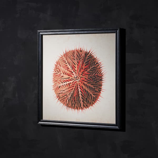 urchin red wallart detail 3