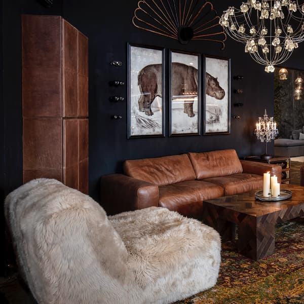 shaggy sofa side view