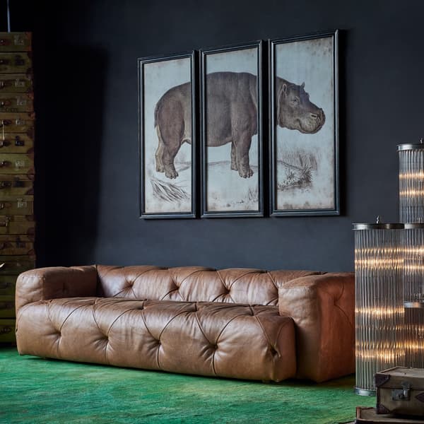 hippo detail 1