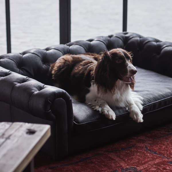 westminster dog bed detail 1
