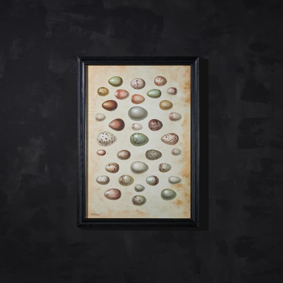 animal eggs wallart detail 2