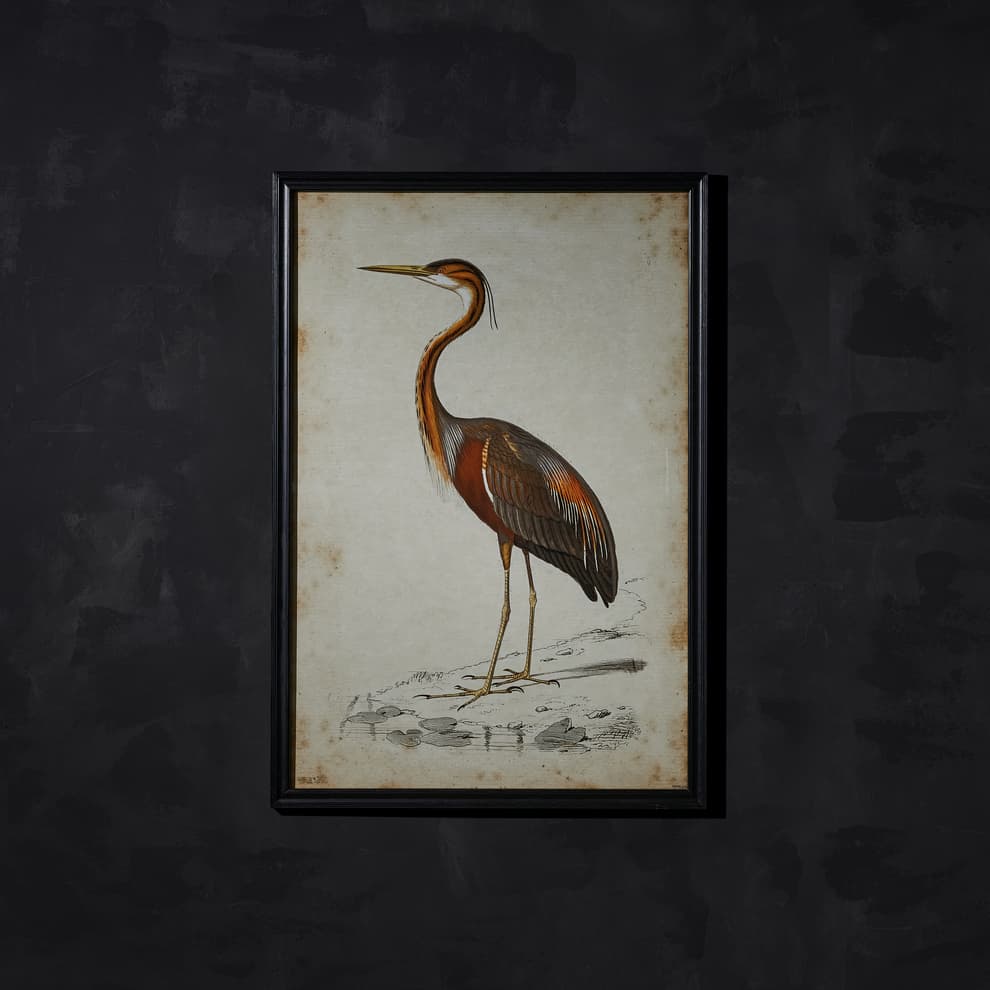 nature heron wallart detail 2