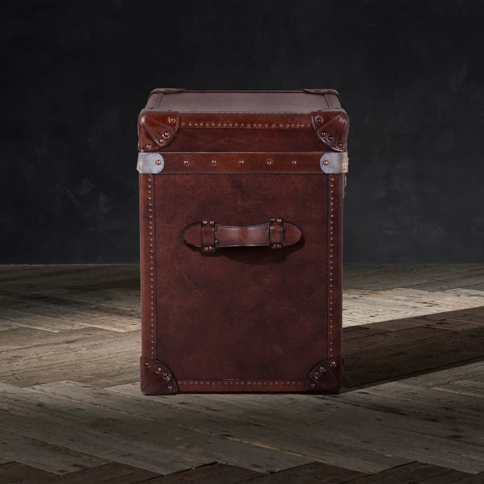 Paris Trunk in Vintage Cigar