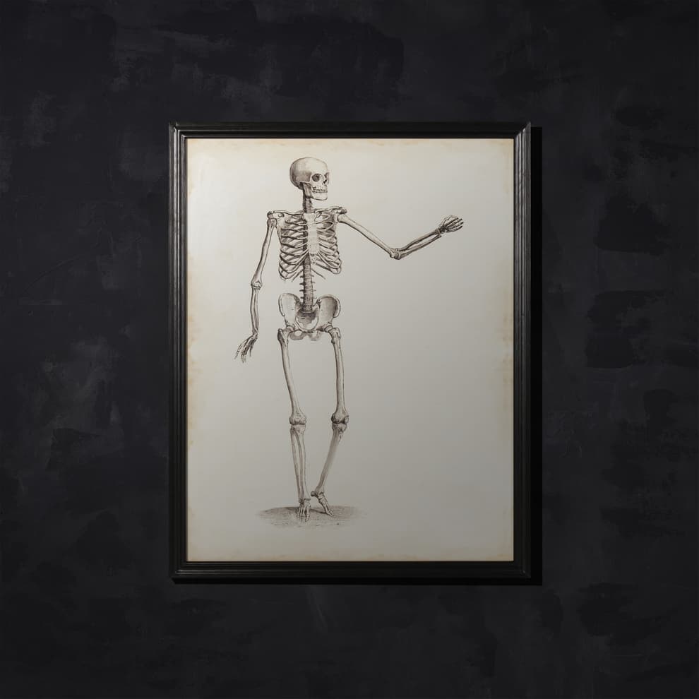 T VMA WA 0002 vm skeleton pair1 wallart detail 2