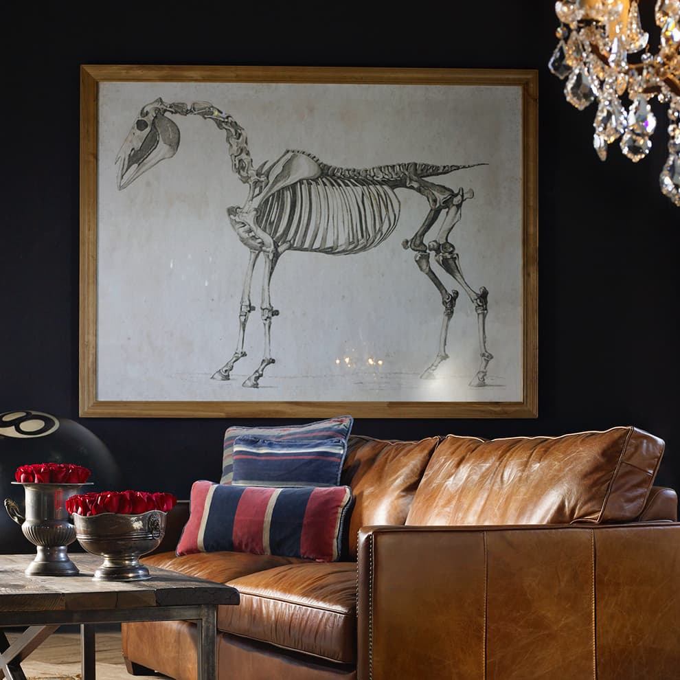 horse skeleton detail 1